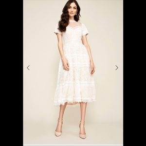 NWOT Tadashi Shoji illusion neckline lace dress